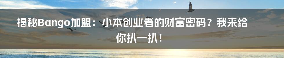 揭秘Bango加盟:小本创业者的财富密码?我来给你扒一扒!