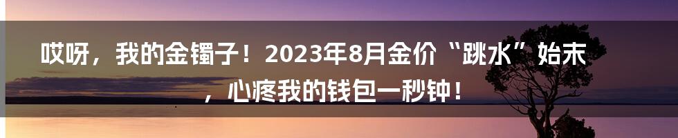 哎呀,我的金镯子!2023年8月金价“跳水”始末,心疼我的钱包一秒钟!