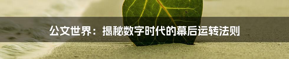 公文世界:揭秘数字时代的幕后运转法则