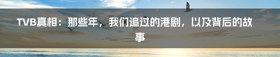TVB真相：那些年，我们追过的港剧，以及背后的故事