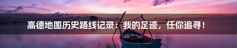 高德地图历史路线记录：我的足迹，任你追寻！