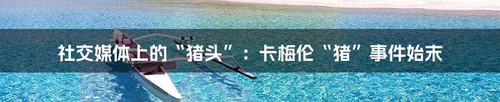 社交媒体上的“猪头”:卡梅伦“猪”事件始末