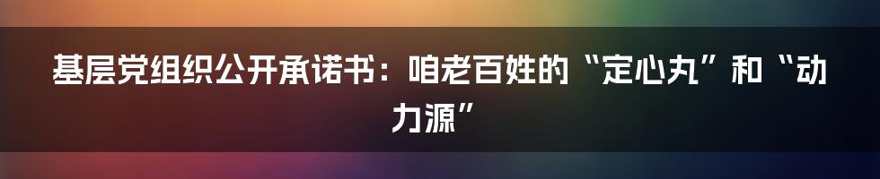 基层党组织公开承诺书：咱老百姓的“定心丸”和“动力源”