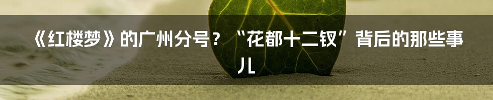 《红楼梦》的广州分号？“花都十二钗”背后的那些事儿