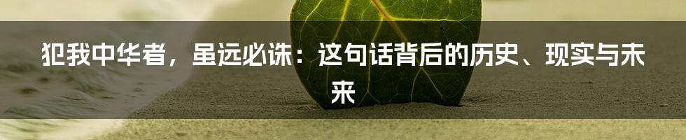 犯我中华者，虽远必诛：这句话背后的历史、现实与未来