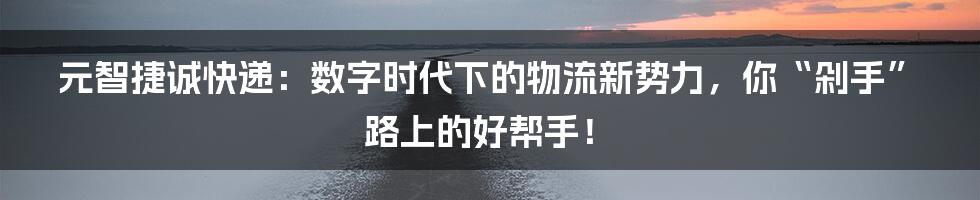 元智捷诚快递:数字时代下的物流新势力,你“剁手”路上的好帮手!