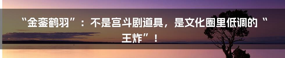 “金銮鹤羽”:不是宫斗剧道具,是文化圈里低调的“王炸”!