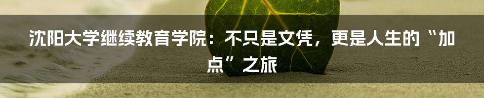 沈阳大学继续教育学院:不只是文凭,更是人生的“加点”之旅