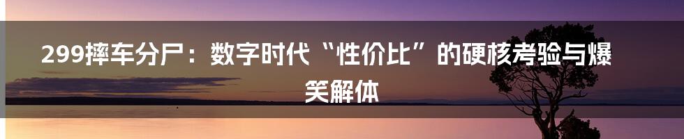299摔车分尸：数字时代“性价比”的硬核考验与爆笑解体