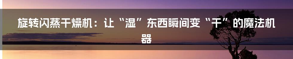 旋转闪蒸干燥机：让“湿”东西瞬间变“干”的魔法机器