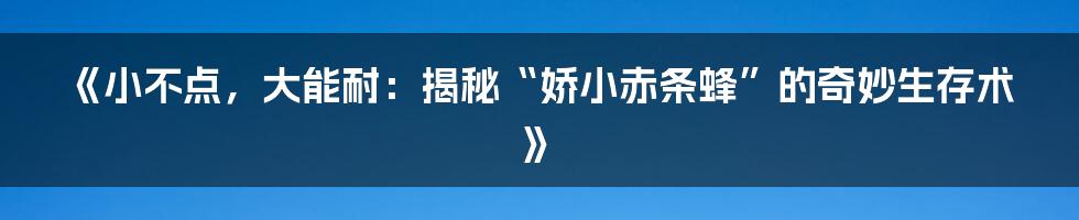 《小不点，大能耐：揭秘“娇小赤条蜂”的奇妙生存术》