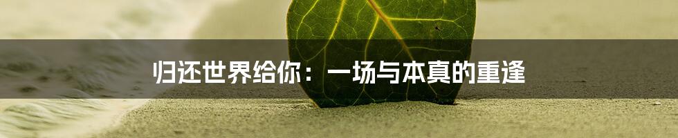 归还世界给你：一场与本真的重逢