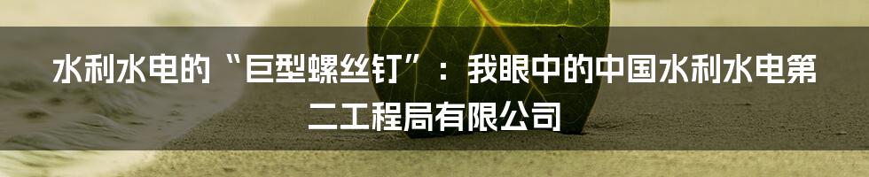 水利水电的“巨型螺丝钉”:我眼中的中国水利水电第二工程局有限公司