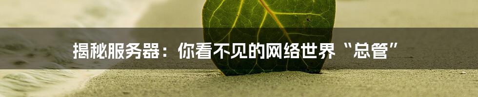 揭秘服务器:你看不见的网络世界“总管”