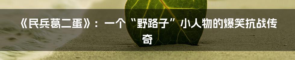 《民兵葛二蛋》：一个“野路子”小人物的爆笑抗战传奇