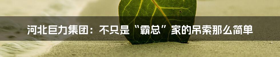 河北巨力集团：不只是“霸总”家的吊索那么简单