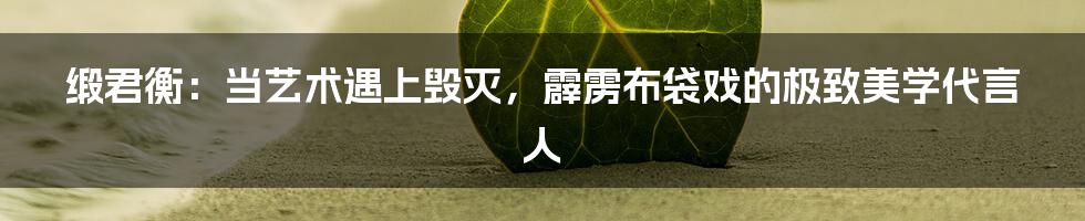 缎君衡:当艺术遇上毁灭,霹雳布袋戏的极致美学代言人