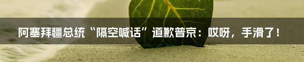 阿塞拜疆总统“隔空喊话”道歉普京:哎呀,手滑了!