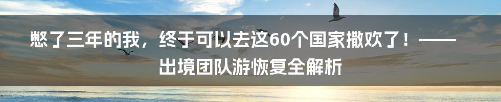 憋了三年的我,终于可以去这60个国家撒欢了!——出境团队游恢复全解析