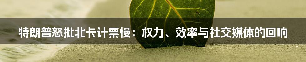 特朗普怒批北卡计票慢：权力、效率与社交媒体的回响
