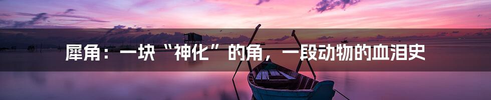 犀角：一块“神化”的角，一段动物的血泪史