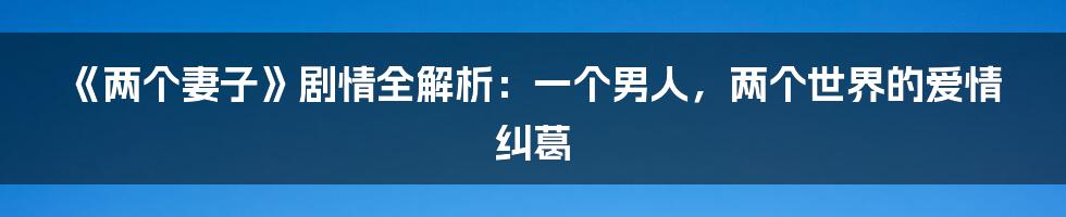《两个妻子》剧情全解析:一个男人,两个世界的爱情纠葛