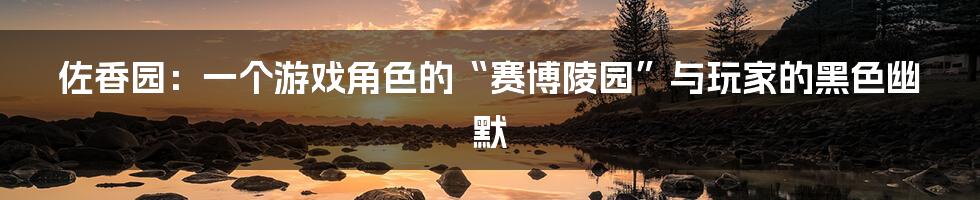 佐香园:一个游戏角色的“赛博陵园”与玩家的黑色幽默