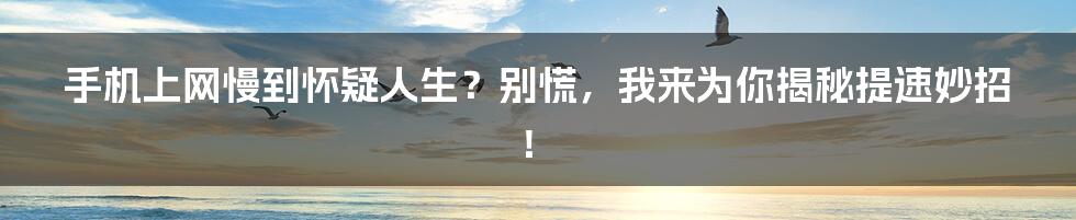 手机上网慢到怀疑人生?别慌,我来为你揭秘提速妙招!