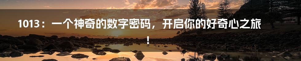1013:一个神奇的数字密码,开启你的好奇心之旅!