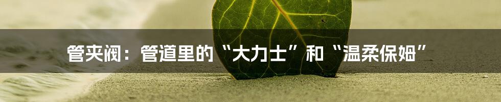 管夹阀：管道里的“大力士”和“温柔保姆”