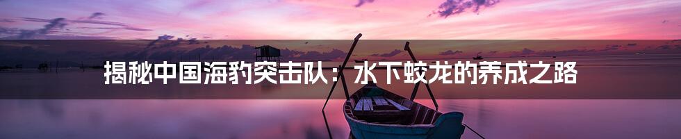 揭秘中国海豹突击队：水下蛟龙的养成之路