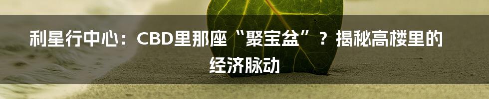 利星行中心：CBD里那座“聚宝盆”？揭秘高楼里的经济脉动