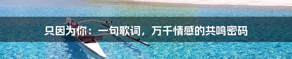 只因为你：一句歌词，万千情感的共鸣密码