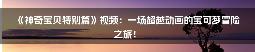 《神奇宝贝特别篇》视频:一场超越动画的宝可梦冒险之旅!