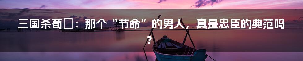 三国杀荀彧:那个“节命”的男人,真是忠臣的典范吗?
