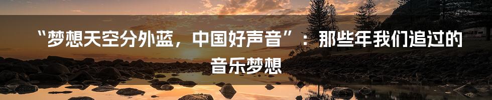 “梦想天空分外蓝,中国好声音”:那些年我们追过的音乐梦想