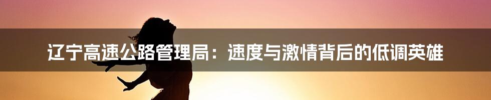 辽宁高速公路管理局：速度与激情背后的低调英雄
