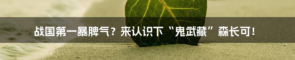 战国第一暴脾气？来认识下“鬼武藏”森长可！