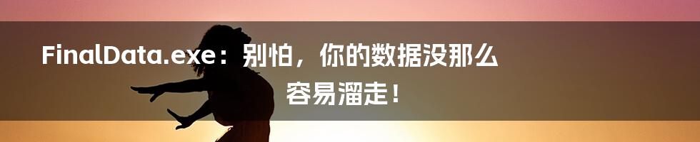 FinalData.exe：别怕，你的数据没那么容易溜走！