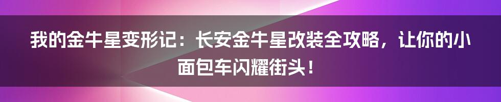我的金牛星变形记：长安金牛星改装全攻略，让你的小面包车闪耀街头！