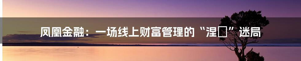 凤凰金融：一场线上财富管理的“涅槃”迷局