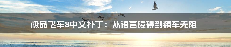 极品飞车8中文补丁:从语言障碍到飙车无阻