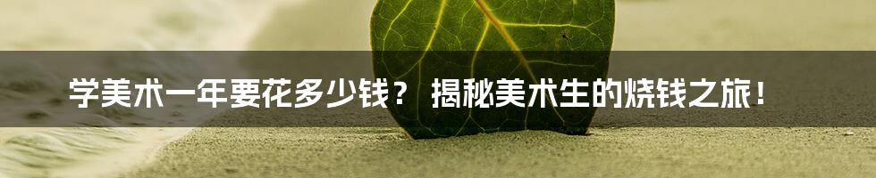 学美术一年要花多少钱？ 揭秘美术生的烧钱之旅！