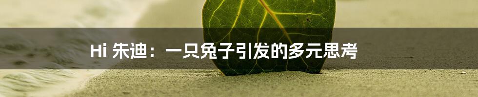 Hi 朱迪:一只兔子引发的多元思考