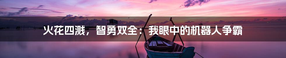 火花四溅，智勇双全：我眼中的机器人争霸