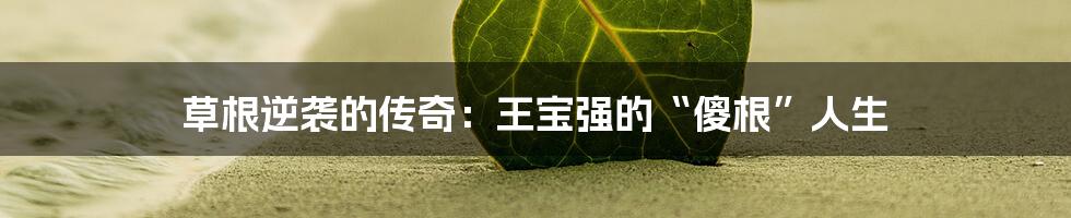草根逆袭的传奇：王宝强的“傻根”人生