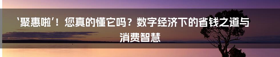 ‘聚惠啦’!您真的懂它吗?数字经济下的省钱之道与消费智慧