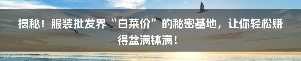 揭秘!服装批发界“白菜价”的秘密基地,让你轻松赚得盆满钵满!