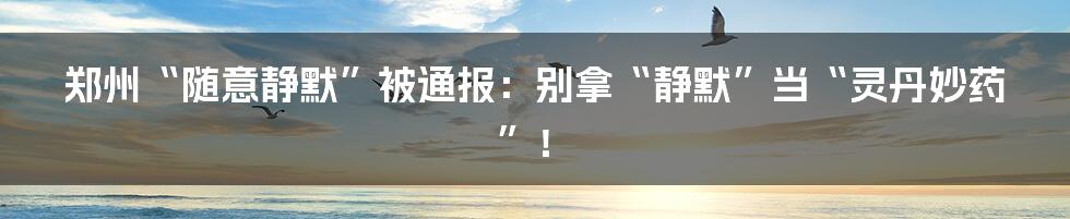 郑州“随意静默”被通报：别拿“静默”当“灵丹妙药”！