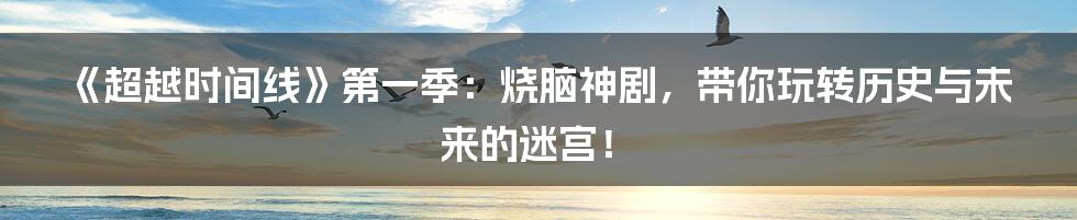 《超越时间线》第一季：烧脑神剧，带你玩转历史与未来的迷宫！